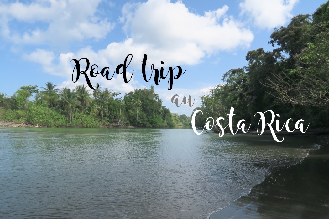 Au Costa Rica, la nature et les animaux sont rois. Durant ce voyage, j'en ai pris plein les yeux : tapirs, toucans, tatous, tortues, rafting, tyrolienne... Des belles vacances en communion avec la nature. Je partage avec vous mon itinéraire de 16 jours à la découverte des parcs nationaux et des superbes plages : Monteverde, Arenal, Tenorio, Corcovado, Manuel Antonio…