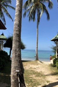 Koh Phangan : un nom qui évoque le dépaysement, la plage, la Full Moon Party... Et surtout le paradis des vegans et des personnes en quête de sens. Venez, je vous partage mes coups de coeur : restaurants vegans, plages, hébergements et bons conseils.
