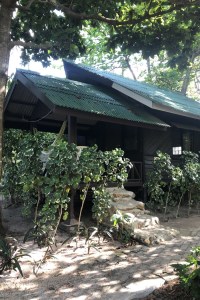 Koh Phangan : un nom qui évoque le dépaysement, la plage, la Full Moon Party... Et surtout le paradis des vegans et des personnes en quête de sens. Venez, je vous partage mes coups de coeur : restaurants vegans, plages, hébergements et bons conseils.