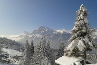 les-carroz-araches-alpes-sommet3